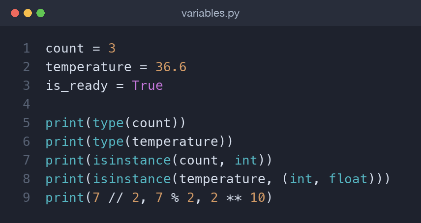 Python code assigning variables and printing their types with type and isinstance