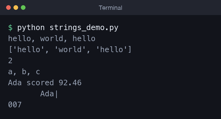 Terminal output showing the formatted report line