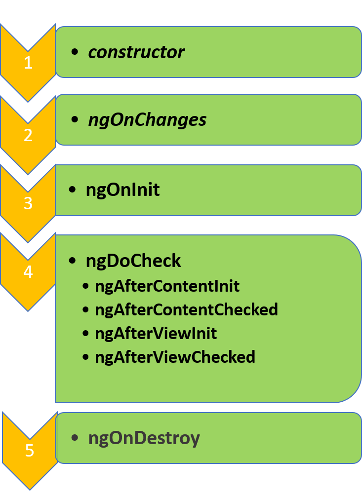 Angular Component Lifecycle