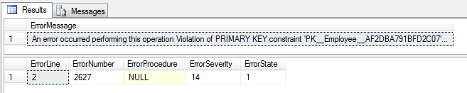 sql primary key exception details